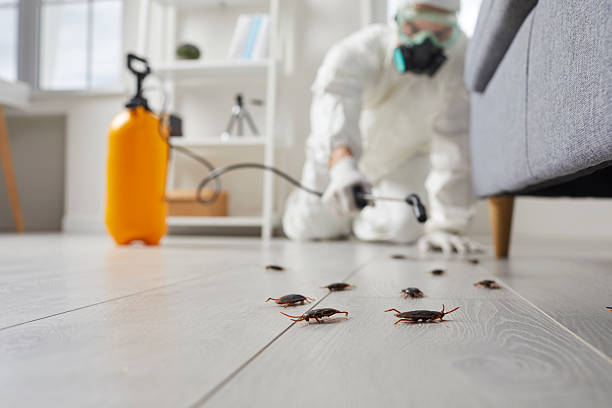 Commercial Kitchen Cockroach Control in Park Center